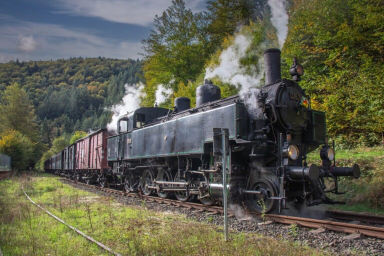 Schwarze Dampflokomotive mit mehreren Waggons auf Gleisen, umgeben von grünem Wald und Hügeln unter bewölktem Himmel, mit sichtbarem Dampfausstoß.