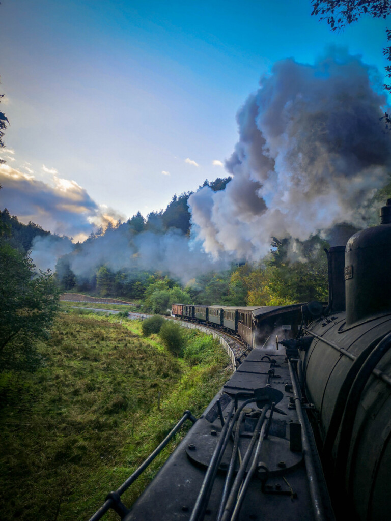 Dampflokomotive zieht einen Zug durch eine grüne, bewaldete Landschaft mit blauem Himmel und rauchender Dampfwolke
