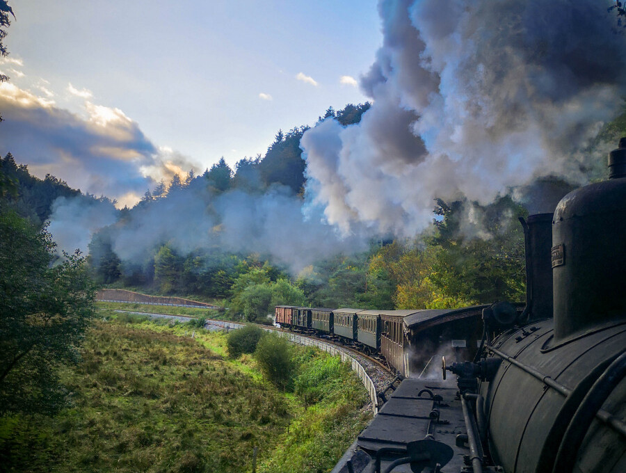 Dampflokomotive zieht einen Zug durch eine grüne, bewaldete Landschaft mit blauem Himmel und rauchender Dampfwolke